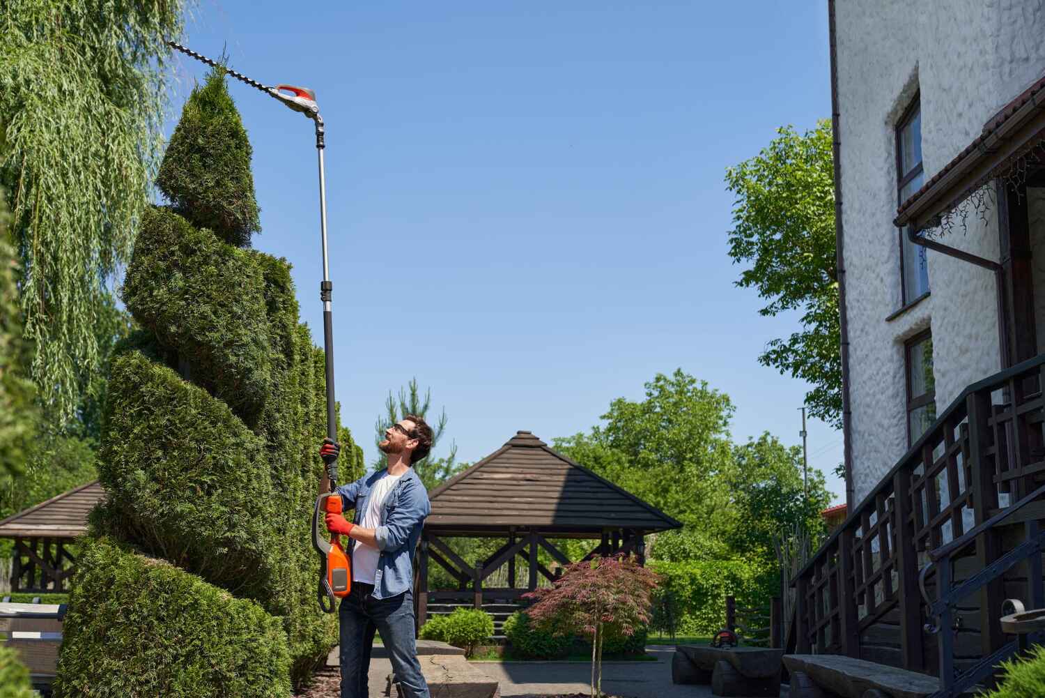 Tree Root Removal in East Chicago, IN